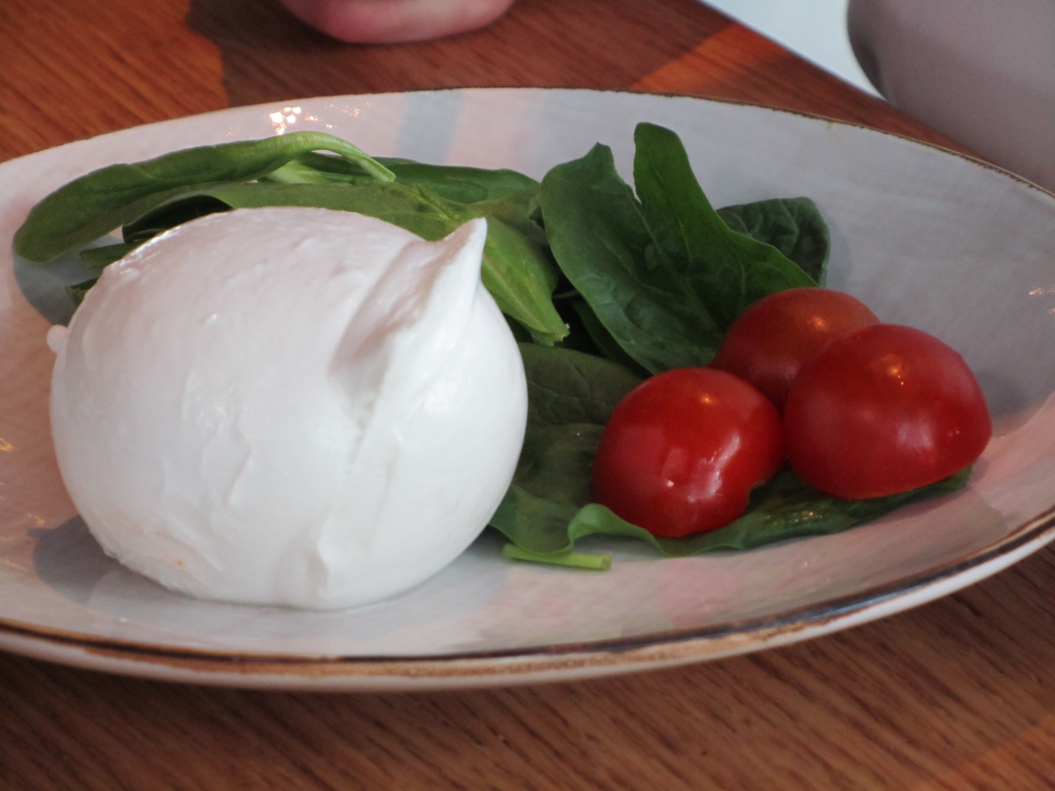 Guide to Mozzarella di Bufala (Buffalo Mozzarella) by Obika Mozzarella ...