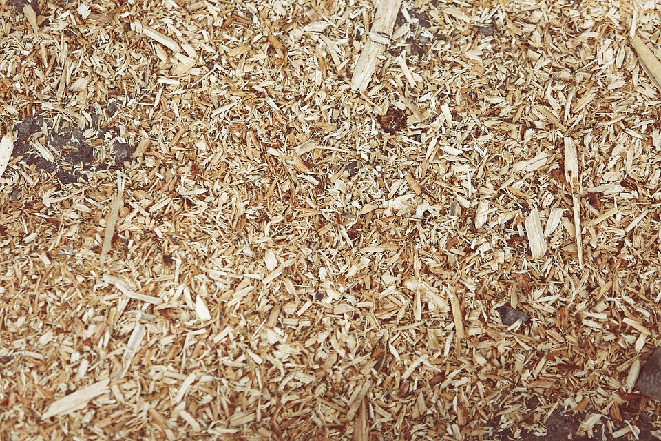 3-great-uses-for-wood-shavings-gi-shavings-llc-hallandale-beach