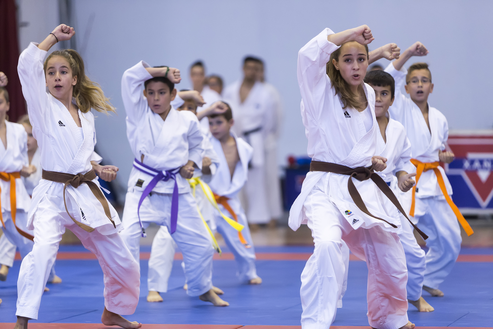 Karate Classes Middletown 