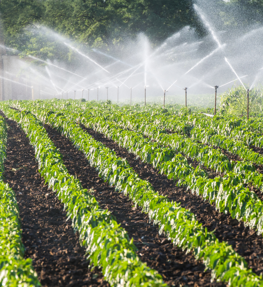 types-of-irrigation-its-4-main-types-advantages-disadvantages