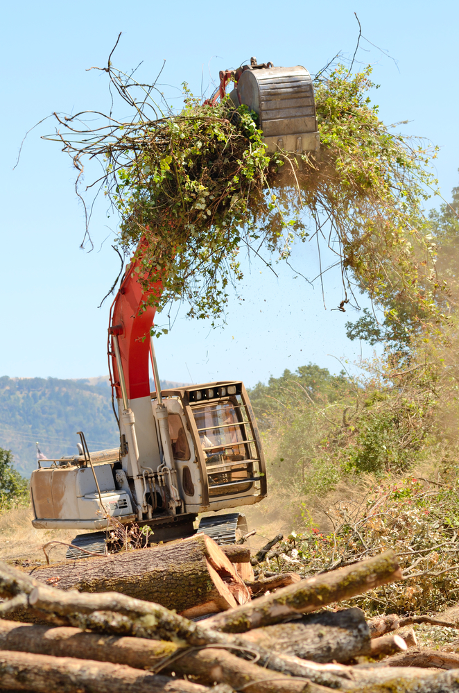 3 Things To Consider Before A Land Clearing Project Ritas Equipment 